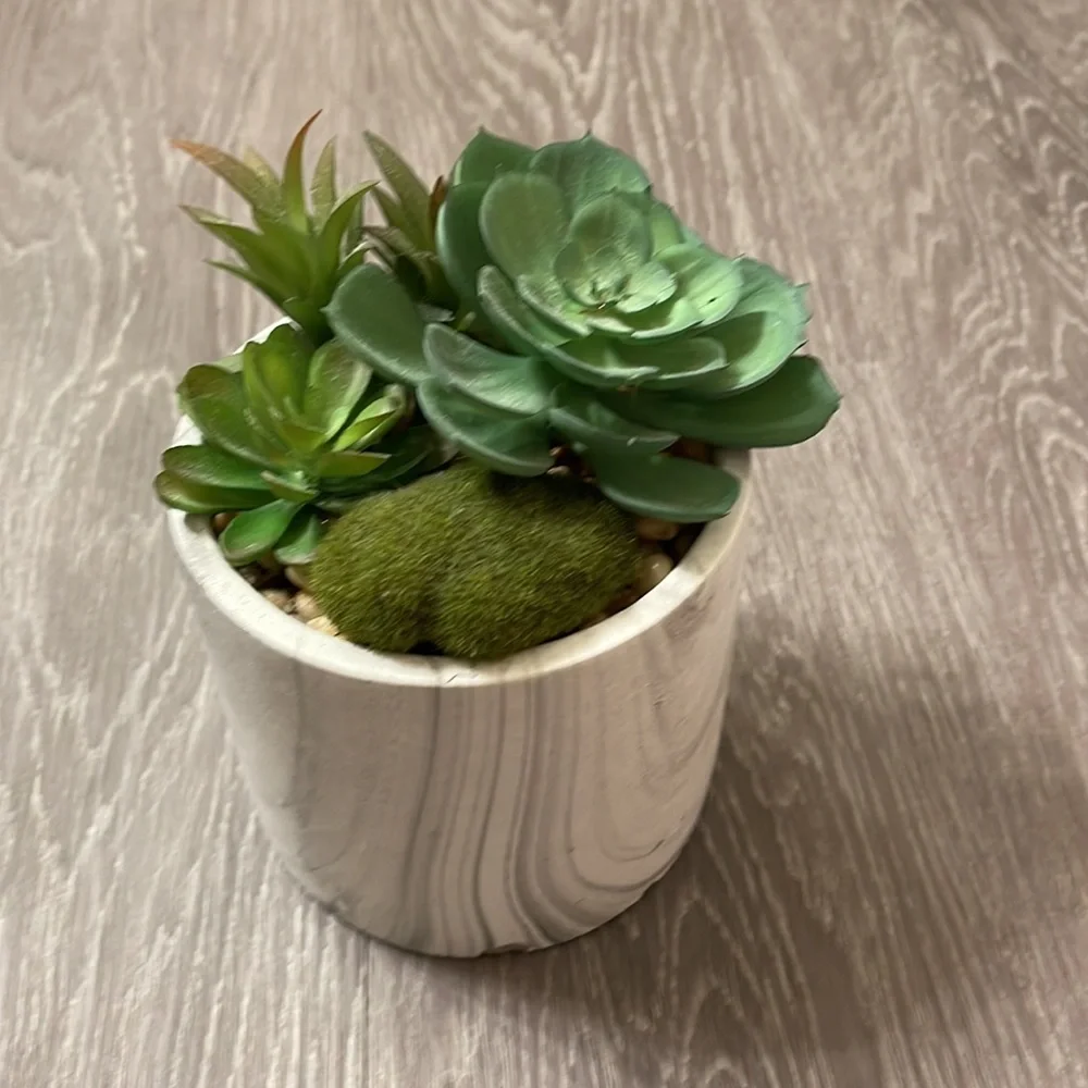 Faux Plant Size 4.5x5 Color White Gray Green Marble